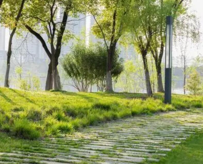 上海春天休闲踏青攻略推荐.jpg 上海春天休闲踏青攻略推荐.jpg